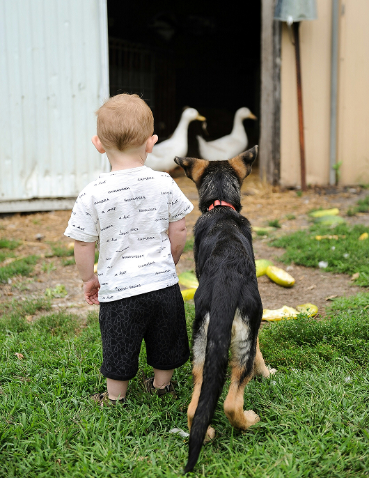 Urlaub am Premium Bauernhof Dirtlergut mit Kindern am Hauser Kaibling © Shutterstock